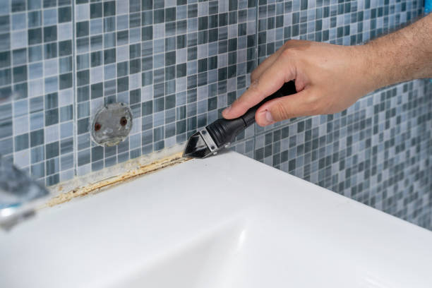 Best Local Mold Removal Service  in Louisville, KY